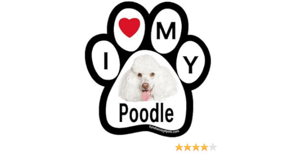 poodle paws gear