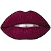 Dollup Beauty Liquid Matte Lipstick Color 'Joy' Burgundy Wine Red with No-Smudge, No-Fade, Long Lasting, Waterproof Formula Choose from 8 glam injected colors