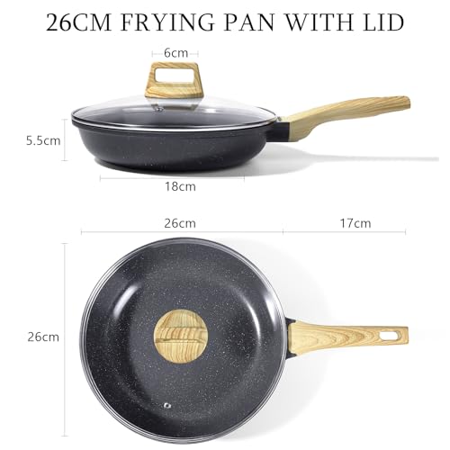 GiPP Ceramic Coating Nonstick Frying Pan with Lid - 26cm Healthy Non-Toxic Non Stick Skillet Omelette Pans, Induction Compatible Chef Pan, PFAS & PFOA-Free, Dishwasher Safe, Stay Cool Handles Grey