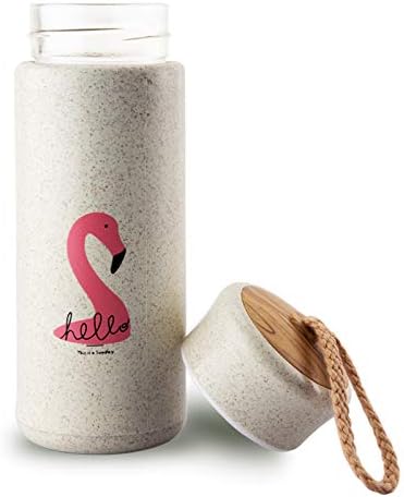 JAMMYLIZARD Fun Novelty Hot or Cold Water Bottle Glass Interior BPA Free Bamboo Insulated, Flamingo - Cream