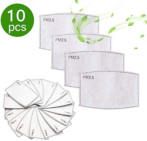 PM2.5 Activated Carbon Filter - 5 Layers Replaceable Anti Haze Filter PM2.5 Replaceable Filters (10)