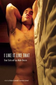 I Like It Like That, True Stories of Gay Male Desire, Hardcover by Richard Labonte' & Lawrence Schimel (Hardcover)
