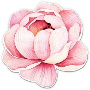 Watercolor Flower Beautiful - 5