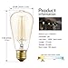 Ambimall Floor Lamps, 60W ST64 Dimmable Incandescent Glass Vintage Light, Amber Warm, 2200K, E26 Medium Base Antique Light Squirrel Cage Filament Lamp