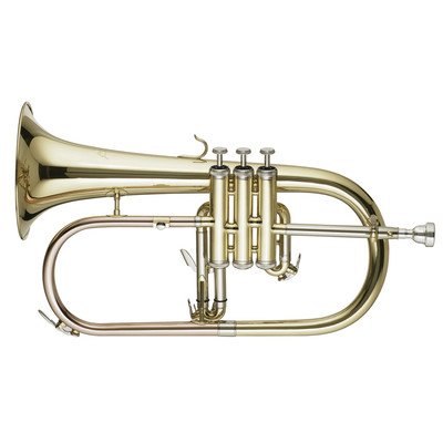 Signature Series Flugel Horn