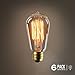Edison light bulb – 6 Pack – The Capital - 40 Watt Bulb - Choose from many other designs. watt Inspired by Thomas Edison these incandescent filament style bulbs provide retro vintage light ambiance
