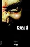 David, El Lado Oscuro del Cielo (Spanish Edition) by 