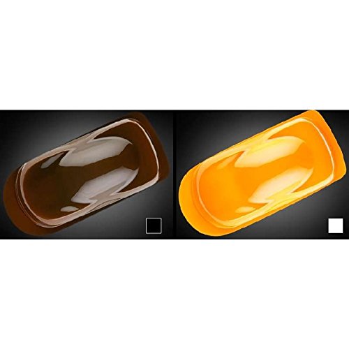 2Z Wicked Orange Auto-Air Colors Paint-Createx by Createx