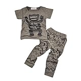 PanDaDa Baby Boys Giraffe T-shirt Tops Long Sleeve Pants Tracksuit Sport Suit