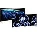GloFish 19025 Aquarium Background, Jellyfish/Anemone
