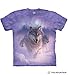 The Mountain Northern Lights Adult T-Shirt, Purple, XL