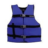AIRHEAD General Purpose Adult Vest, Blue