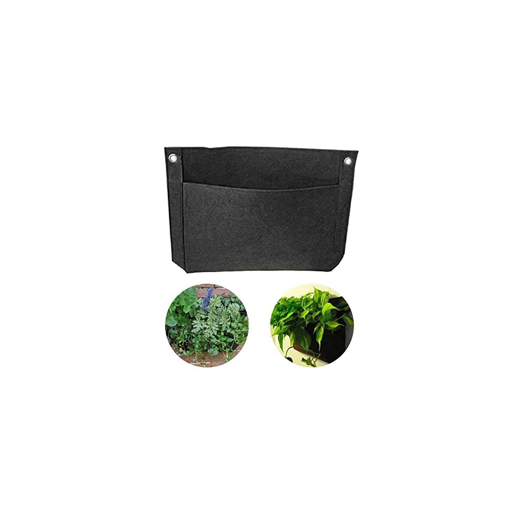 Comprar Thrivinger 2pcs Bolsa De Plantación De Jardín Colgante