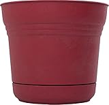 Bloem SP1212 Saturn Planter, 12-Inch, Union Red