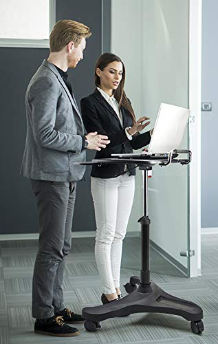 Aidata LPD008P Laptop/Notebook/Table Desk Cart