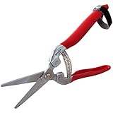 TABOR TOOLS K-17 Straight Blade Stainless Steel Pruning Shears, Florist Multi-Tasking Garden Scissors, Small Hand Pruner for Arranging Flowers, Trimming Plants (Stainless Steel Blades, One Size)