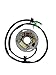 shamofeng Stator Magneto for Yamaha PWC FX-1 FX700 FX1 Superjet 650 SJ650 Superjet 700 SJ700 Wave Blaster 700 Wb700 Wave Runner 650 WRA650 Waverunner 700 PRO-VXR