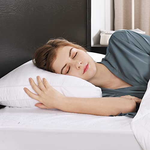 downluxe Goose Down Feather Pillow 2 Pack Gusseted Bed Pillows for