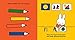 Miffy the Artist Lift-the-Flap Book