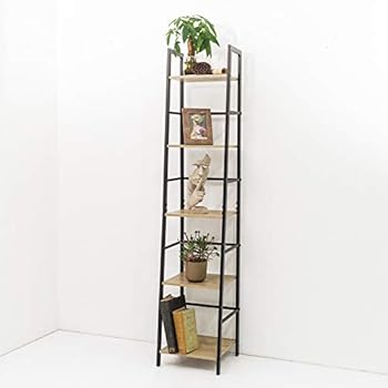 C-Hopetree Ladder Bookcase Bookshelf Storage Shelf Vintage Industrial Plant Display Stand Rack Shelving, Home Office Accent Furniture, Black Metal Frame, 5 Tier Slim