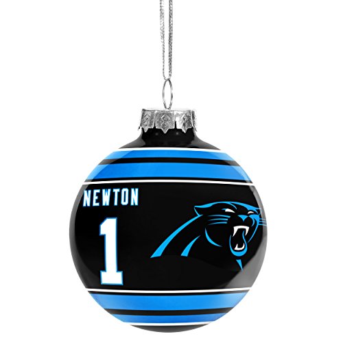 Carolina Panthers Cam Newton