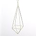 NCYP Tillandsia Air Plants Holder Freestanding Hanging Matte Golden Quadrilateral Pyramid Teardrop Shape Geometric Flowers Rack for Wedding Wall Decor 10 inch (No Plants)
