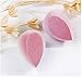 Microfiber Velvet Makeup Sponges,2 Pieces Makeup Blender Sponge, Latex-Free,Dual Layer Technology,Foundations,Powders & Creams id Creams and Powders -Flawless Coverage of Liquids,Concealer (PINK)