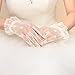 AbaoWedding Women's Lace Floral Elegant Wedding Bride Evening Party Gloves (Ivory)