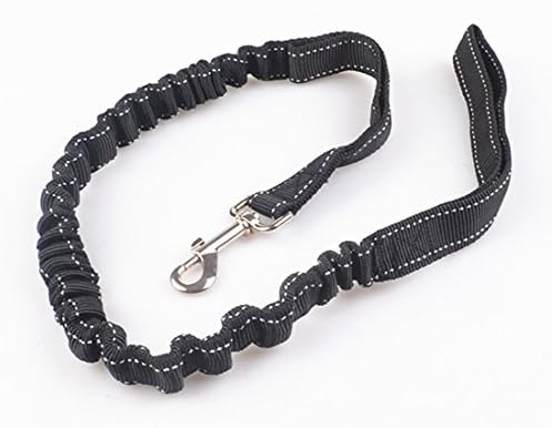 Adjustable Elastic Nylon Dog Training Leash, Basic Pet Leash Flexible Lead Ropes Training Dog Lead for Dogs (One head, Black)