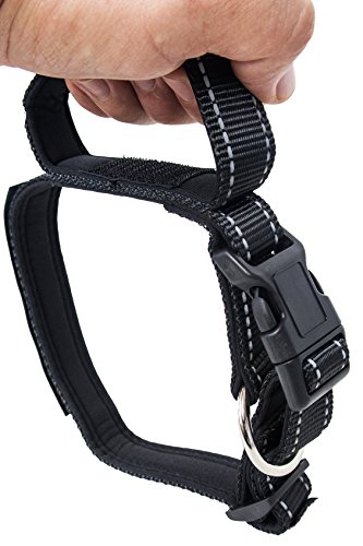 ALBCORP Reflective Dog Collar with Control Handle and Service Dog Patch, Woven Nylon, Comfy Neoprene Padding for Training or Walking Your Service Animal, Large, Black - Thumbnail 4