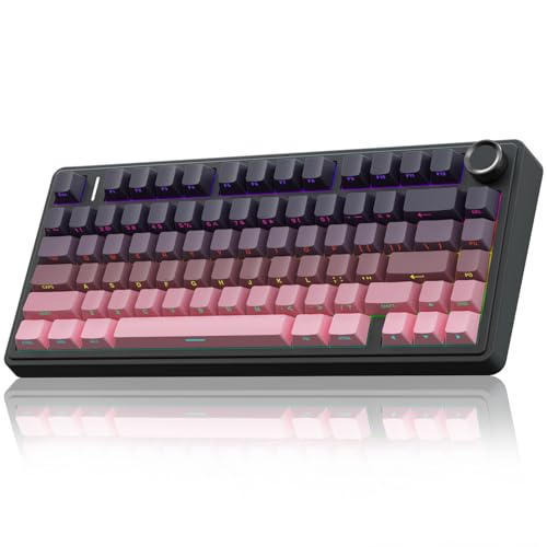 AULA F75 Pro Kabellose mechanische Tastatur, 75 % Hot-Swap-fähige, benutzerdefinierte Tastatur, RGB-Hintergrundbeleuchtung, vorgeschmierte Reaper-Scha