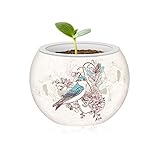 Pintoo - K1006 - Singing Birds and Flowers - 80 Piece Plastic Flowerpot Puzzle