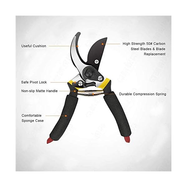 HEMIZA Gardening Tools Garden Shears Sharp Cutter Pruners Scissor, with Safety Lock Pruning Seeds with Grip-Handle… - Image 4