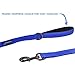 Max and Neo Small Dog Leash - Reflective Nylon, Donates to Dog Rescue (Teal, 6x5/8)
