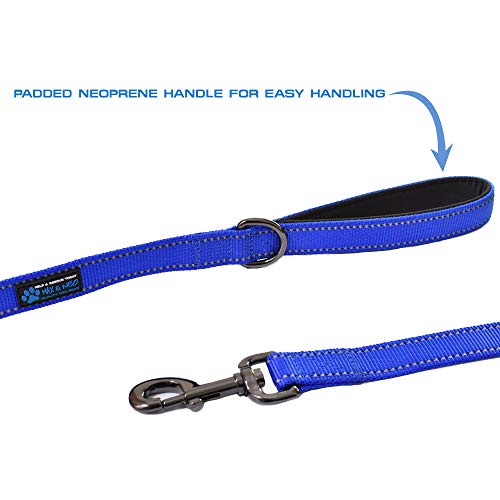image for Max and Neo Double Handle Traffic Dog Leash Reflective - We Donate a L
