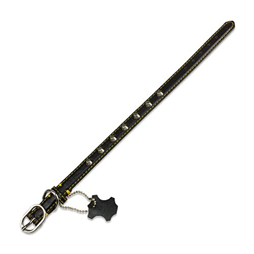 Arquivet 17397 Basic Leather Collar Black 1.5 x 30 cm