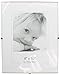 Displays2go 8 x 10 x 1/4-Inch, Tempered Glass Frameless Clip Picture Frame For 8 x 10-Inch Prints, Wall-Mounted - Sold In Sets Of 6