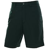 Tommy Bahama Men's Ashore Thing Short