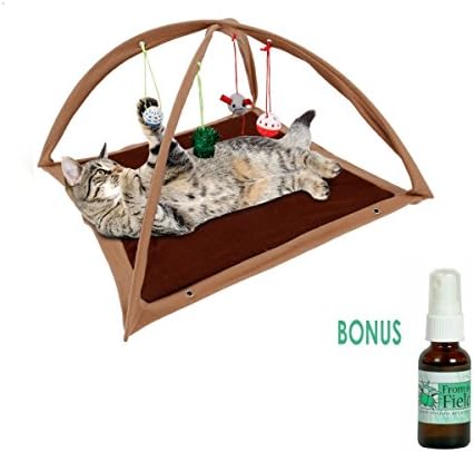 Cat Activity Center with Hanging Toy Balls, Mice &amp; More plus Bonus USA Organically Grown Catnip Spray - Helps Cats Get Exercise &amp; Stay Active (Brown)