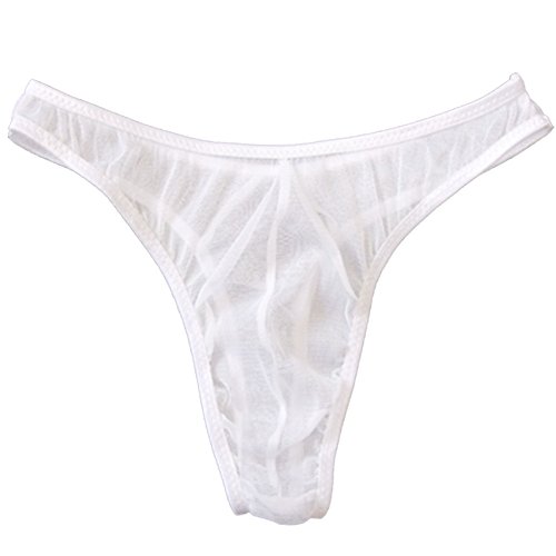 WenMei Men's Transparent gauze Underwear Sheer Pouch Thong G-string Brief (White),Free size