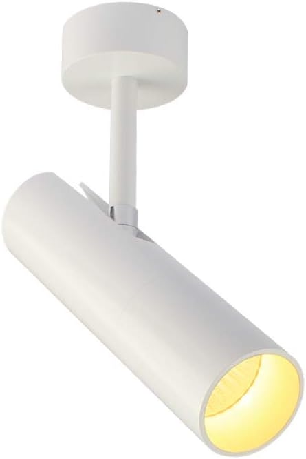 Amazon Com Aisilan Led Ceiling Spotlight Surface Mounted Cob Anti