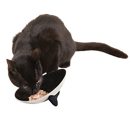 Petmate Jackson Galaxy Nova Stainless Steel Cat Bowl Pricepulse