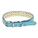 Pet Kingdom 2 Rows Rhinestone Bling Heart Studded Leather Dog Collar for Small Or Medium Pet Collar (Blue, Medium)