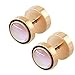 ZS Rose Gold Men Women Stainless Steel Cheater Ear Plugs Gauges Illusion Tunnel Earring Studs (Black)