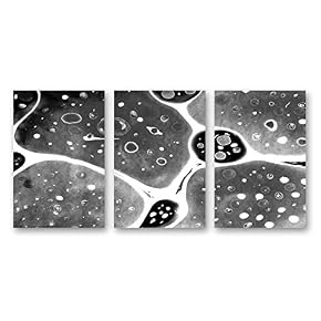 Ink Water Spreading Painting Artwork for Home Framed...