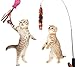 Cat Toys Set, Cat Retractable Teaser Wand, Catnip Fish, Interactive Cat Feather Toy, Mylar Crincle Balls, Two Cotton Mice, Four Fluffy Mouse