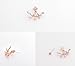 Robert JC Rose Gold Leaf with Cz Crystal Ear Cuff Earrings Jacket for Woman Girls