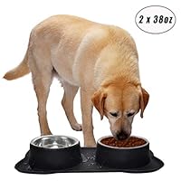 Easeurlife Stainless Steel Dog Bowl Set 2 x 38oz No Spill/Non-Skid Silicone Mat Double Pet Bowls Set for Medium Dogs, Each Bowl About 1100ml Black