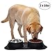 Easeurlife Stainless Steel Dog Bowl Set 2 x 38oz No Spill/Non-Skid Silicone Mat Double Pet Bowls Set for Medium Dogs, Each Bowl About 1100ml Black primary