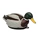 MOJO Outdoors Swimmer Mallard Duck Decoy